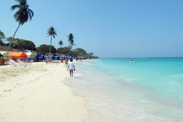 Tour Playa Blanca y PLANCTON Nocturno - Imagen 3