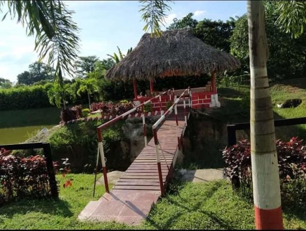 FINCA #56 - ARJONA - Imagen 6