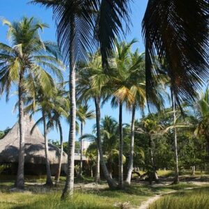 PAO PAO BEACH CLUB- ISLAS DEL ROSARIO