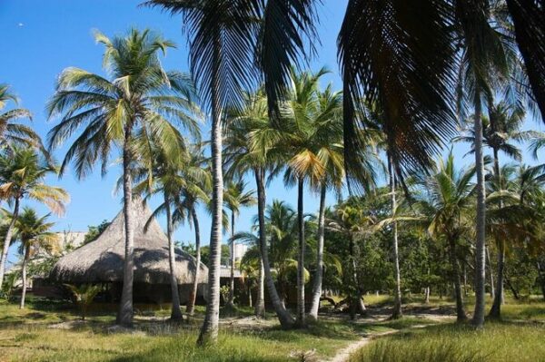 PAO PAO BEACH CLUB- ISLAS DEL ROSARIO - Imagen 2