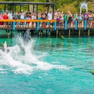 ISLAS DEL ROSARIO Y BARÙ PLAYA TRANQUILA LANCHA ‘TODO INCLUIDO’