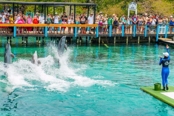 ISLAS DEL ROSARIO Y BARÙ PLAYA TRANQUILA LANCHA 'TODO INCLUIDO' - Imagen 2