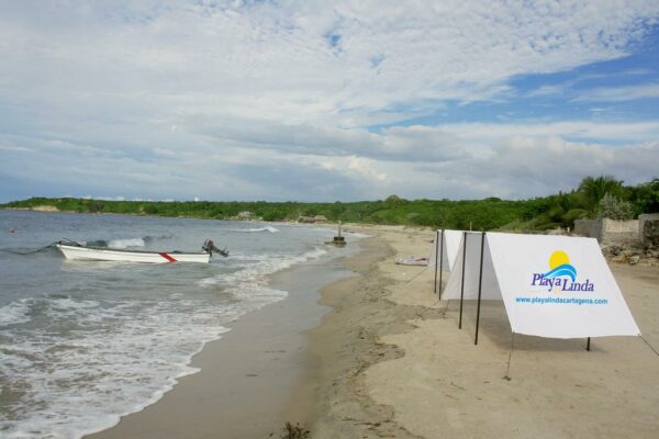 TESORO BEACH(CLASICO)- PLAYA LINDA